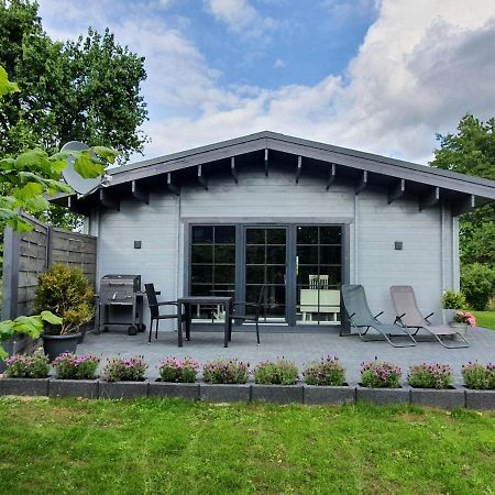 Idyllisches-Blockbohlenhaus-Mit-Eigenem-Garten-Und-Sauna-Zum-Wohlfuehlen Martensrade Εξωτερικό φωτογραφία