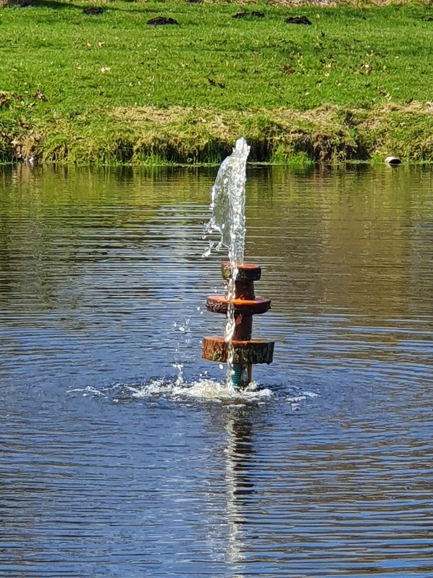 Idyllisches-Blockbohlenhaus-Mit-Eigenem-Garten-Und-Sauna-Zum-Wohlfuehlen Martensrade Εξωτερικό φωτογραφία