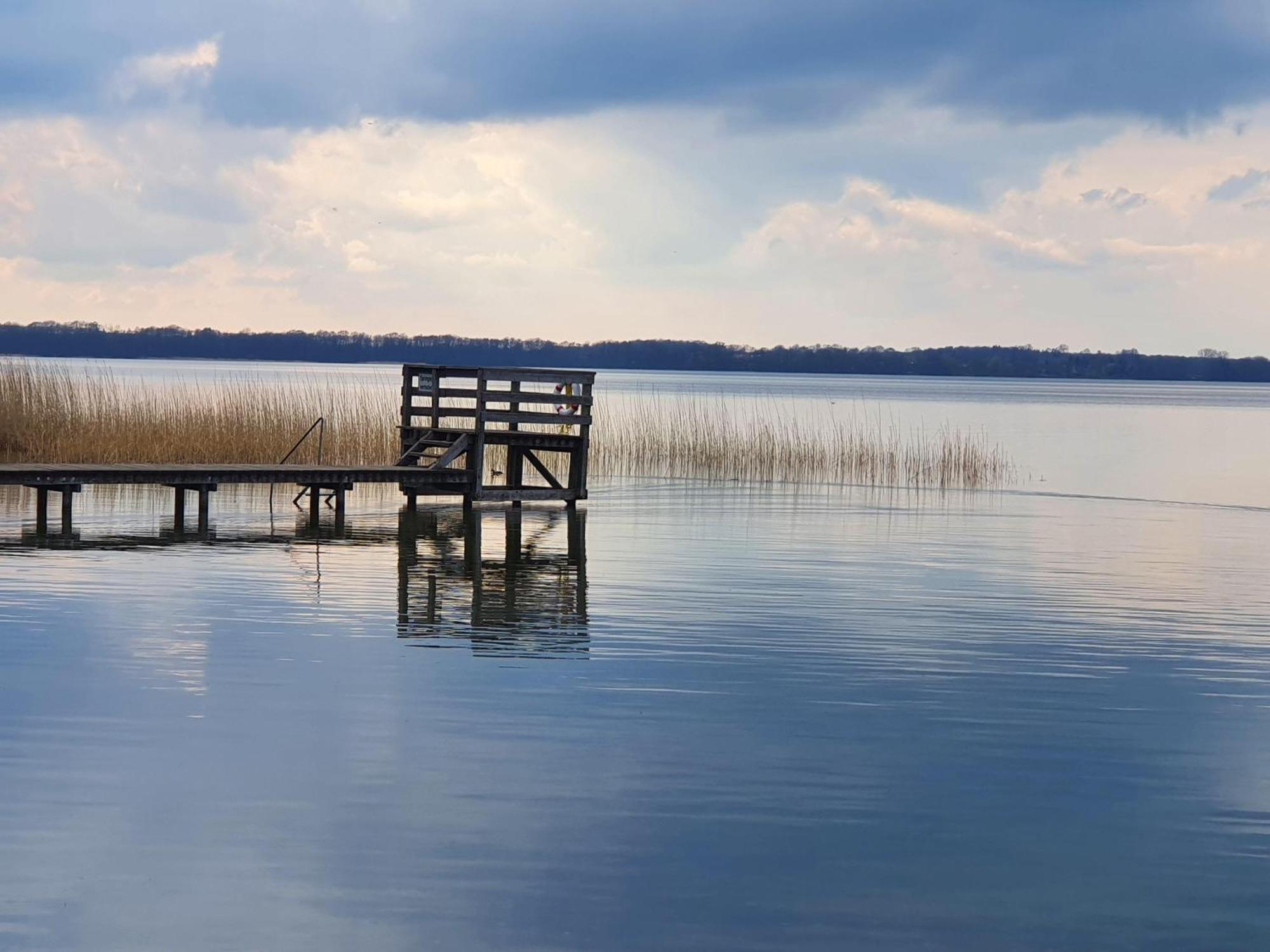 Idyllisches-Blockbohlenhaus-Mit-Eigenem-Garten-Und-Sauna-Zum-Wohlfuehlen Martensrade Εξωτερικό φωτογραφία